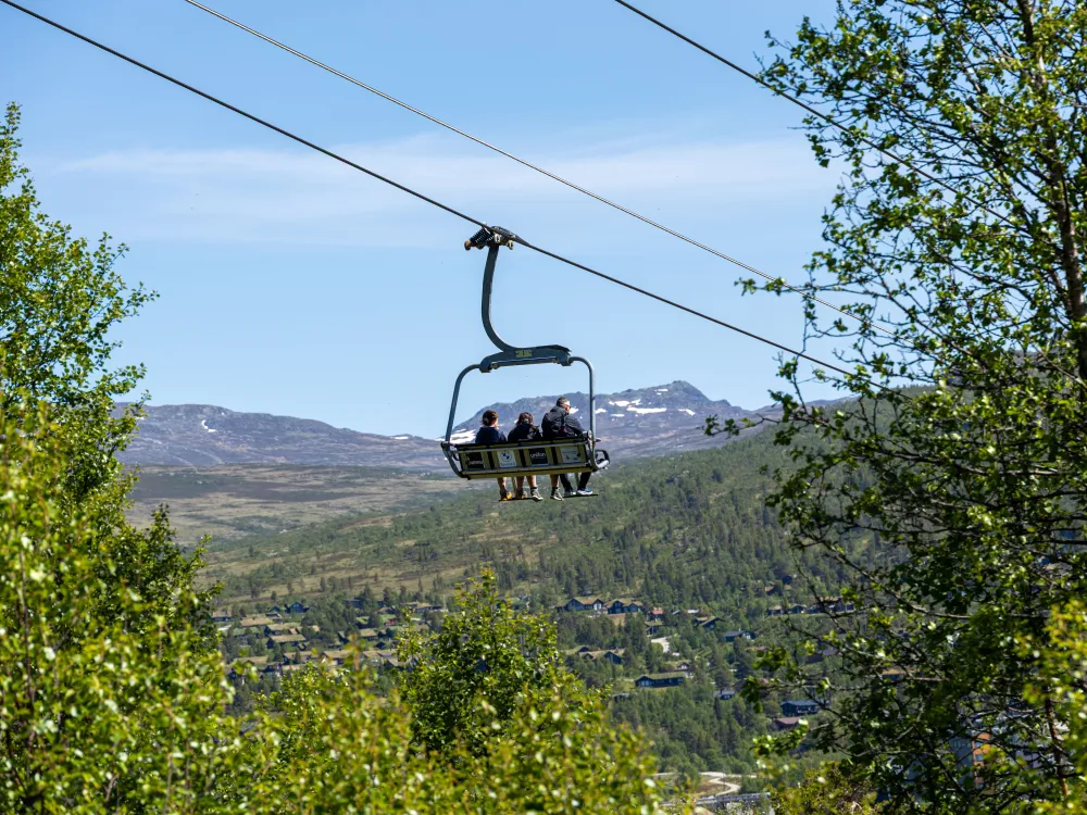 Sommerheisen 