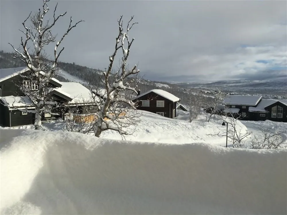 Hovdenutvegen 21