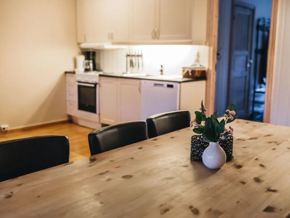 Hovdehytta 7-bed apartment