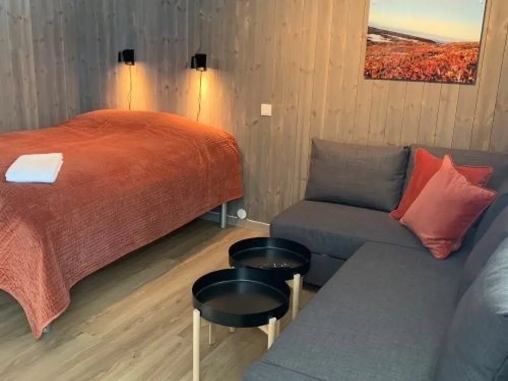 Hovden Fjellstoge - cabin and rooms