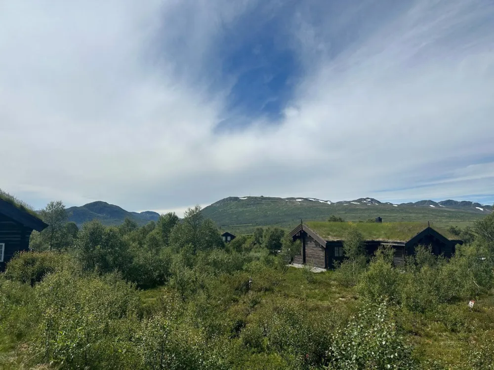 Hovdeseter 44